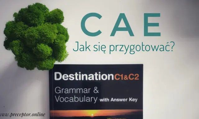 Książka "Destination C1&C2 Grammar & Vocabulary" jako materiał do przygotowania do CAE exam sample. Obok zielony mech.
