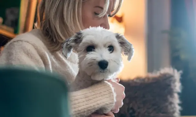 En kvinna håller en vit hund. Hunden ser lite orolig ut, kanske en omplacering hund som anpassar sig.
