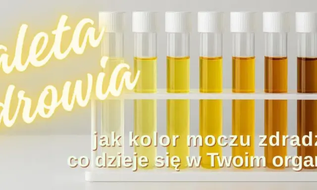 Paleta zdrowia: od jasnego do ciemnego żółty mocz w probówkach pokazuje, co dzieje się w organizmie.
