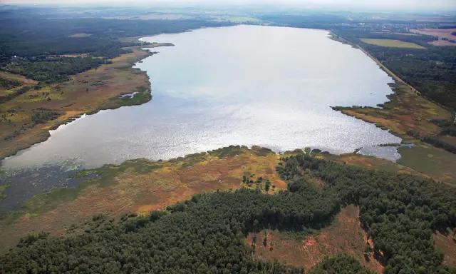 Rozległe jezioro otoczone lasem i trzcinami. Woda lśni, sugerując głębię i potencjalną termoklinę.