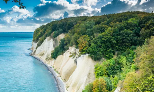 Białe klify nad turkusowym morzem Bałtyckim w Niemczech, porośnięte bujną zielenią.