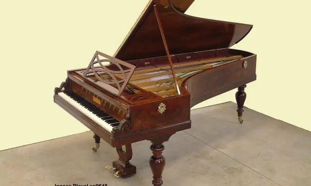 Prawdziwe brzmienie Chopina: fortepiany Pleyel, Erard, Buchholtz