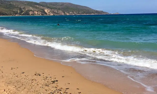 Türkisblaues Meer und ein sandiger Strand bei Oran Stadt. Wellen brechen sanft, im Wasser sind einige Schwimmer zu sehen.