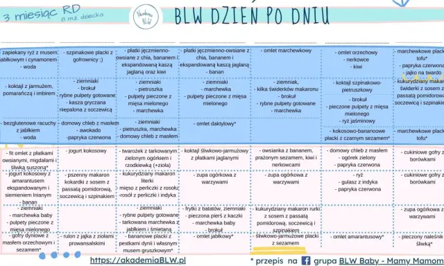 Menu BLW na 3 miesiące: zapiekany ryż, pulpety rybne, omlety, zupy warzywne i inne zdrowe propozycje dla malucha.