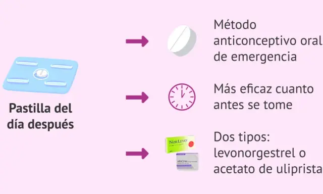 La pastilla del día después es un método anticonceptivo oral de emergencia. Es más eficaz cuanto antes se tome. Hay dos tipos: levonorgestrel o acetato de ulipristal.