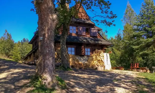 Drewniana koliba na Łapsowej Polanie, otoczona lasem i stertami drewna. Widać dwa duże drzewa z przodu.