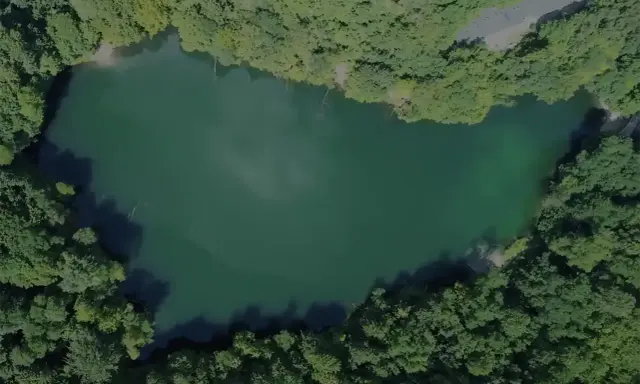 Malownicze jezioro otoczone lasem, ukryte wśród nietypowych atrakcji Szczecina. Idealne miejsce na relaks i podziwianie przyrody.
