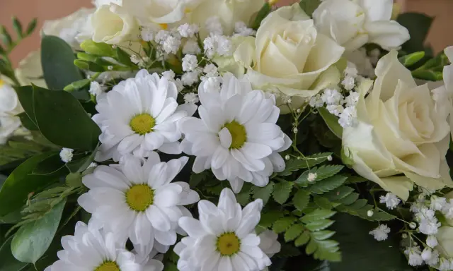Białe róże i margaretki tworzą elegancki bukiet, idealny jako kwiaty na pogrzeb, symbolizujące czystość i pamięć.