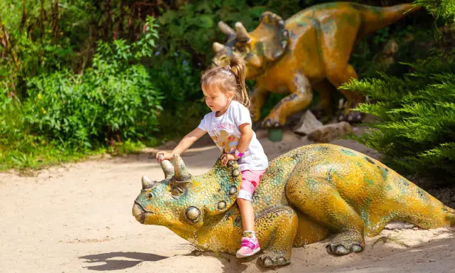 Świętokrzyskie: Co zobaczyć? Od Łysicy po dinozaury! Planuj wyjazd