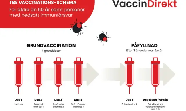 Schema för TBE-vaccination, inklusive grundvaccination och påfyllnad. Viktigt att fylla på grundskydd vaccin för att bibehålla immunitet.