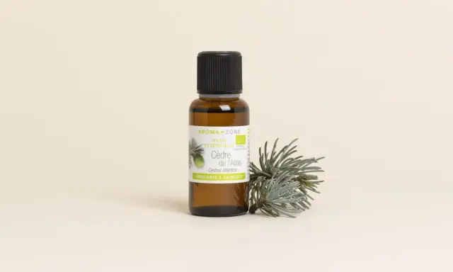 Flacon d'huile essentielle de cèdre de l'Atlas, aux vertus purifiantes et calmantes, posé à côté d'une branche de cèdre.