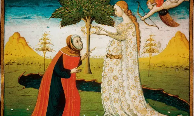 Un vecchio implora una dama sotto un albero, mentre Cupido scocca una freccia. Pace non trovo e non ho da far guerra.