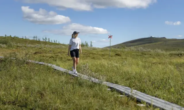 Kvinna vandrar på spång i Gällivare, Sverige. En röd markering syns i bakgrunden.