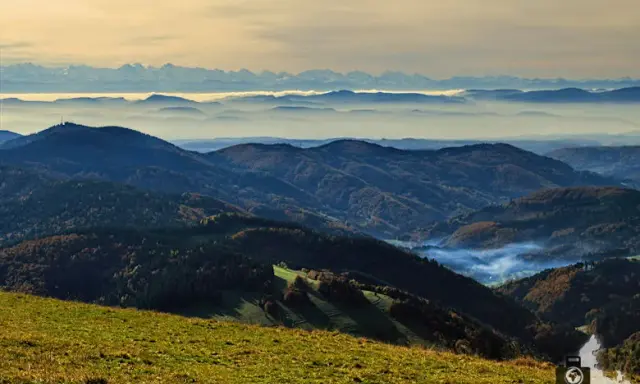 Die höchsten Gipfel im Schwarzwald: Tipps für Ihre Tour