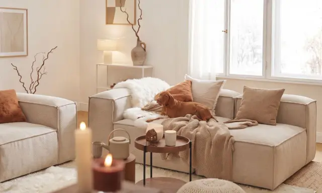 Un chien brun se repose sur un canapé dans un salon cosy. Des coussins douillets, des plaids et des bougies créent une atmosphère chaleureuse.