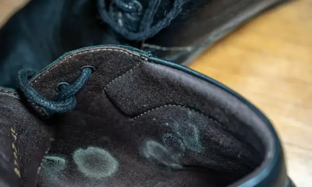 Wnętrze czarnego, skórzanego buta z widocznymi zielonkawymi plamami pleśni. Spleśniałe buty, które wymagają pilnej interwencji.