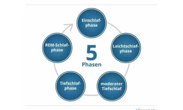 Der Schlafzyklus hat 5 Phasen: Einschlaf-, Leichtschlaf-, moderater Tiefschlaf-, Tiefschlaf- und REM-Schlaf-Phase.