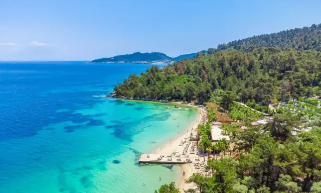 Malownicza plaża z turkusową wodą i sosnowym lasem. Idealne miejsce na relaks i odkrywanie atrakcji Thassos.