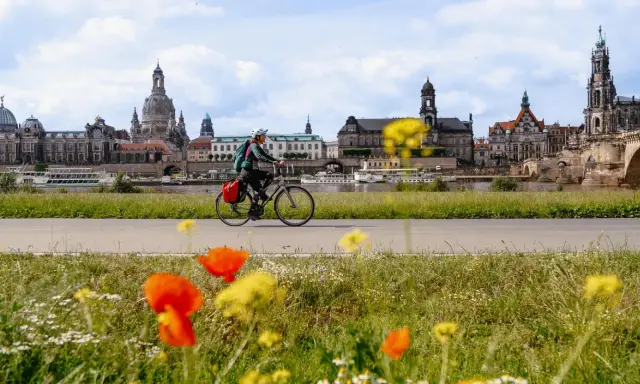 Frau auf Fahrradtour Dresden, mit der Elbe und der beeindruckenden Skyline im Hintergrund. Blumen blühen am Wegesrand.