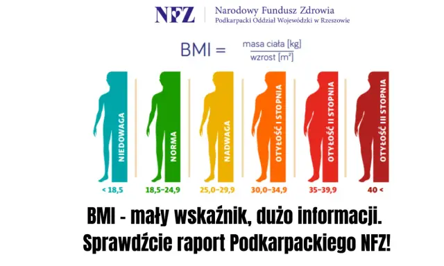 Grafika pokazuje skalę BMI od niedowagi (poniżej 18,5) do otyłości III stopnia. Wskaźnik BMI 15 oznacza znaczną niedowagę.