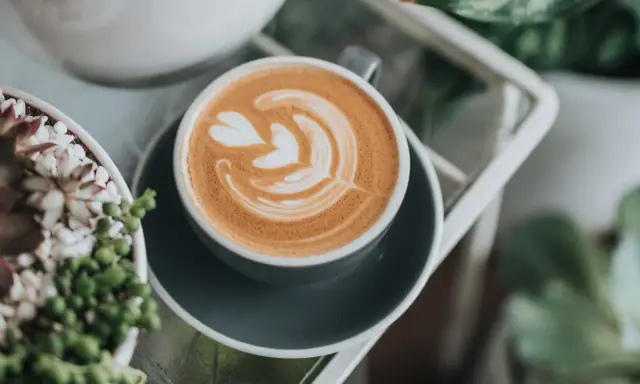 Ein **Cappuccino mit Filterkaffee**-Aroma, verziert mit Latte Art, neben Sukkulenten.