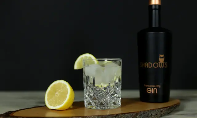 Erfrischender Gin Tonic mit Zitrone, Eis und einer Flasche "Shadows" Gin. Die perfekten gin tonic zutaten für einen lauen Abend.