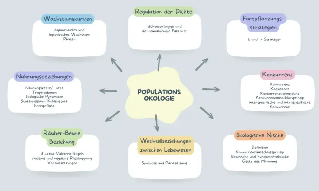 Mindmap zur Populationsökologie: Wachstum, Regulation, Fortpflanzung, Konkurrenz, Räuber-Beute-Beziehungen, Stoffkreislauf, Nischen.