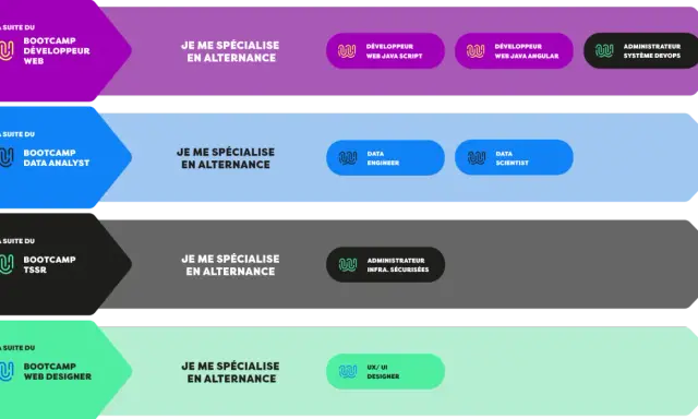 Après le bootcamp Data Analyst, spécialisation en alternance Data Engineer ou Data Scientist.