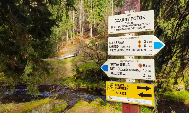 Kolory szlaków PTTK: Mit o trudności obalony! Co naprawdę znaczą?