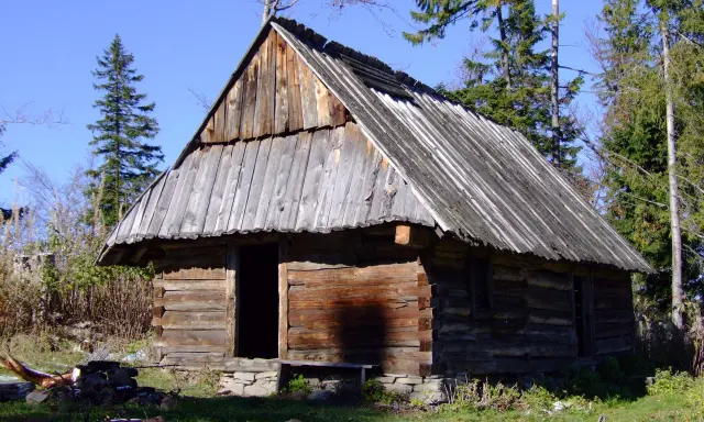 Drewniana bacówka, schronienie pasterzy w górach. Prosta konstrukcja, dach kryty gontem, otoczenie lasu.