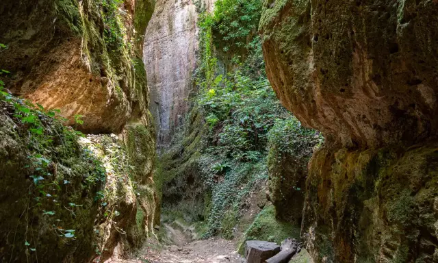 Sentiero tra le suggestive cave etrusche di Pitigliano, con pareti rocciose ricoperte di muschio e vegetazione.