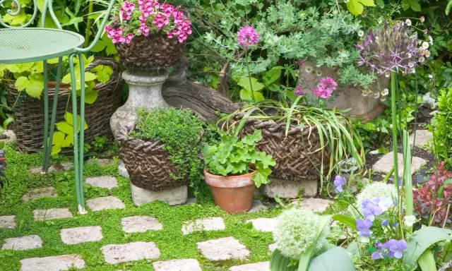 Jardin fleuri avec des paniers en osier, des pierres et des fleurs violettes. Un chemin de dalles envahi par la verdure, idéal pour savoir comment éviter que la mousse revienne.