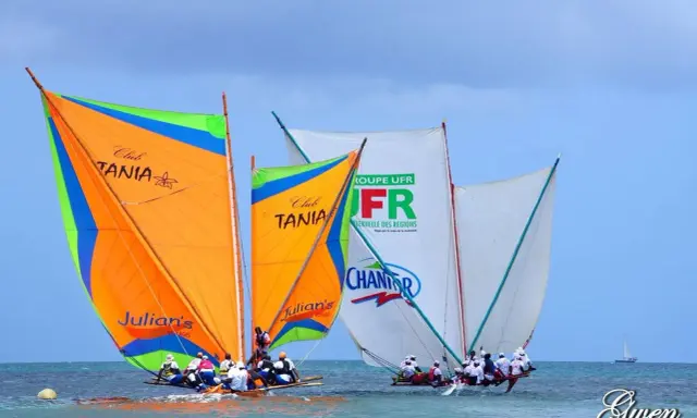 Plusieurs yoles bateaux colorées naviguent sur une mer bleue, leurs voiles gonflées par le vent.