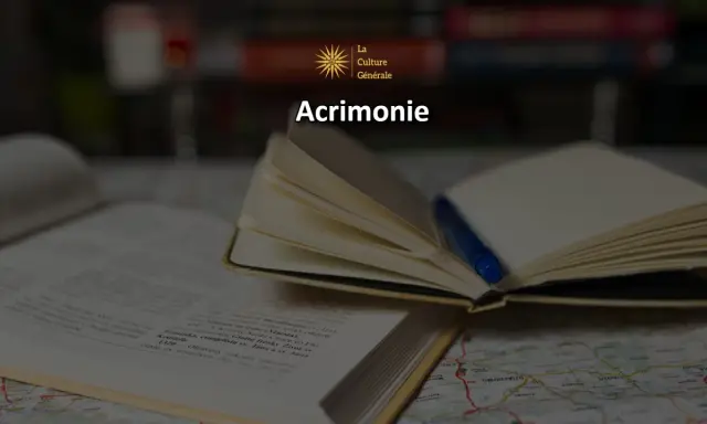 Un livre ouvert et un carnet avec un stylo bleu, sur une carte. Le mot "Acrimonie" est affiché, définissant une attitude acerbe.