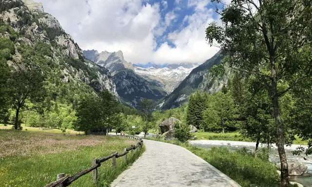 Sentiero in Val Masino, tra prati fioriti e montagne imponenti. Cosa vedere? Natura incontaminata e panorami mozzafiato.