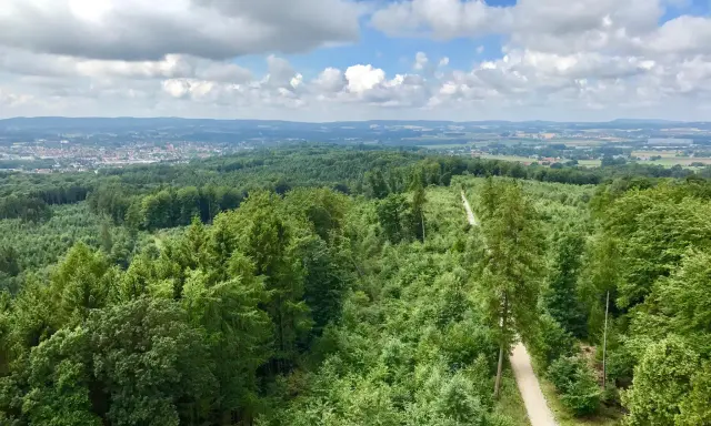 Blick über grüne Wälder und eine Stadt in der Ferne bei bewölktem Himmel.
