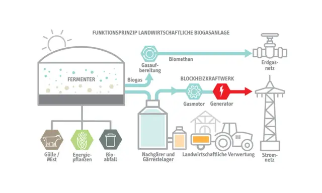Schema einer Biogasanlage: Gülle, Energiepflanzen und Bioabfall werden im Fermenter zu Biogas, das aufbereitet und in einem Blockheizkraftwerk zur Stromerzeugung genutzt wird. So entstehen erneuerbare Gase.