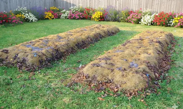Deux plates-bandes en lasagne, couvertes de feuilles mortes et de paillis, attendent d'être plantées dans un jardin fleuri.