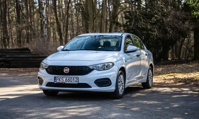 Biały Fiat Tipo 1.4 zaparkowany na leśnej drodze, otoczony drzewami i stertą drewna.