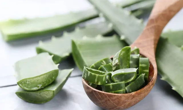Aloe vera a fette in un cucchiaio di legno, pronte per scoprire come applicare aloe vera sulla pelle per un sollievo naturale.