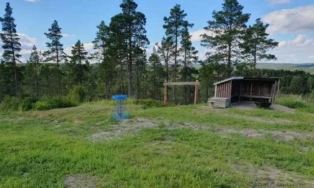 En blå discgolfkorg står på en gräsklädd kulle med skog i bakgrunden. En vindskyddad rastplats finns i närheten. Perfekt för discgolf i Hudiksvall.