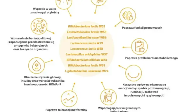 Wsparcie w walce z insulinoopornością, poprawa profilu kardiometabolicznego i funkcji poznawczych. Leki na receptę mogą być wspierane przez probiotyki.