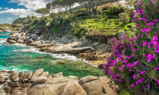 Scogliera fiorita sull'Isola d'Elba, cosa vedere: mare cristallino, pini marittimi e case arroccate.