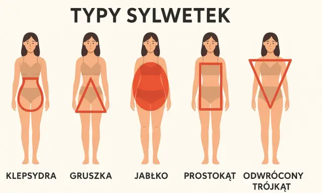 Pięć typów sylwetek: klepsydra, gruszka, jabłko, prostokąt i odwrócony trójkąt.