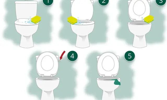Schritt-für-Schritt-Anleitung, wie oft Toilette putzen: Schwamm mit Reinigungsmittel, Bürsten, Spülen, Abwischen.
