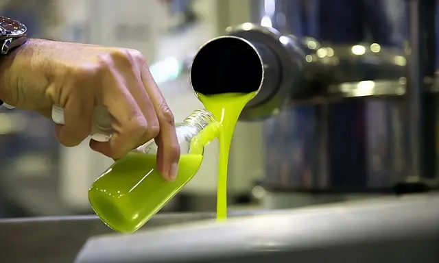 Aceite verde brillante se vierte en una botella. ¿Qué es el aceite lampante? Es un aceite de oliva virgen de baja calidad, no apto para el consumo directo.