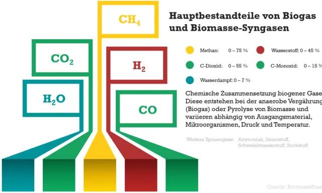 Grafik zeigt Hauptbestandteile von Biogas und Biomasse-Syngasen: CH4, CO2, H2O, H2, CO. Die biomasse produktion erklärt die chemische Zusammensetzung.
