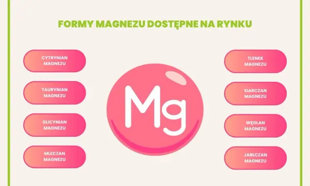 Glicynian magnezu na co? Grafika przedstawia różne formy magnezu dostępne na rynku, w tym glicynian magnezu.
