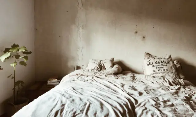 Cama desordenada con manchas de humedad en la pared, indicando las consecuencias de dormir en un colchón con moho. Una planta en maceta y libros añaden un toque hogareño.