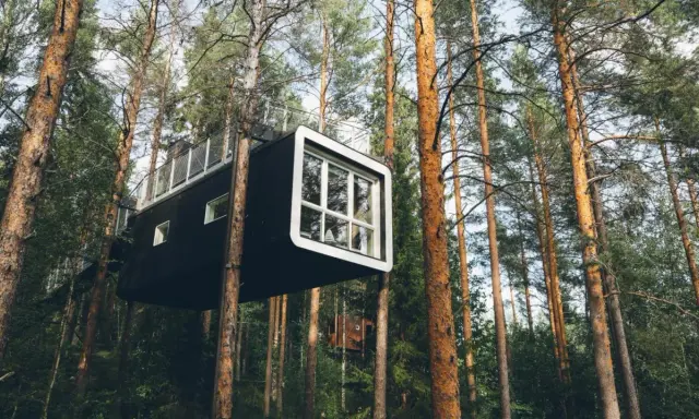 Modern tree hotel i en svensk skog. En svart kubformad byggnad med stora fönster hänger mellan trädstammarna.